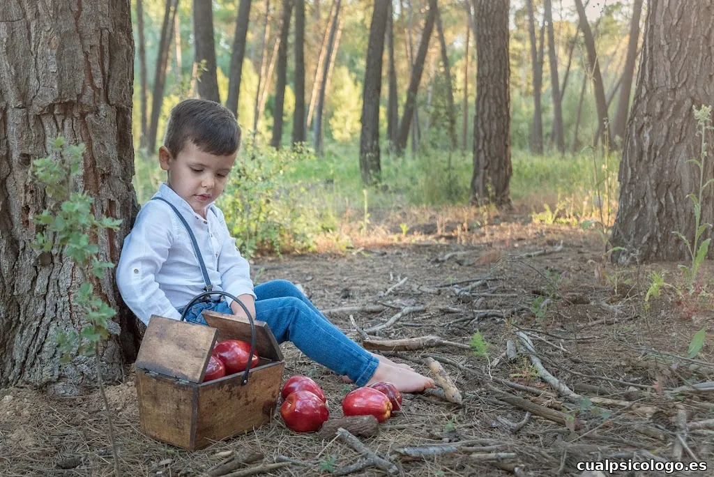 Isabel Nájera Fotografía