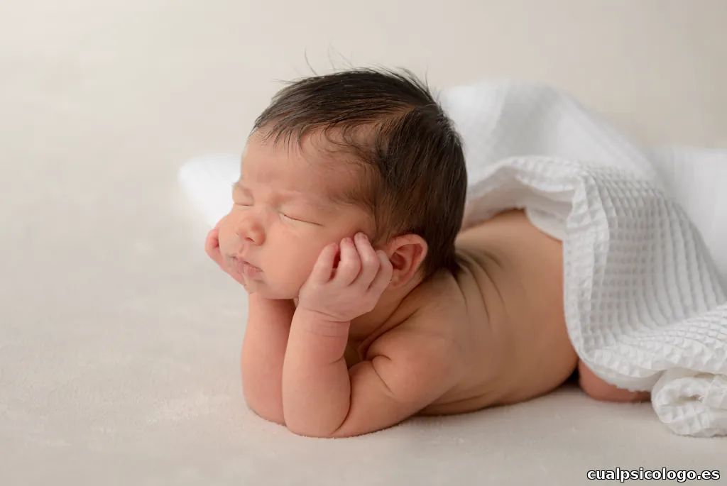 Helena Molinos Fotògraf Mataró