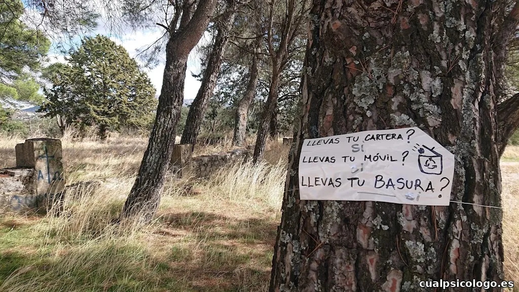 DBO Estudio de fotografía