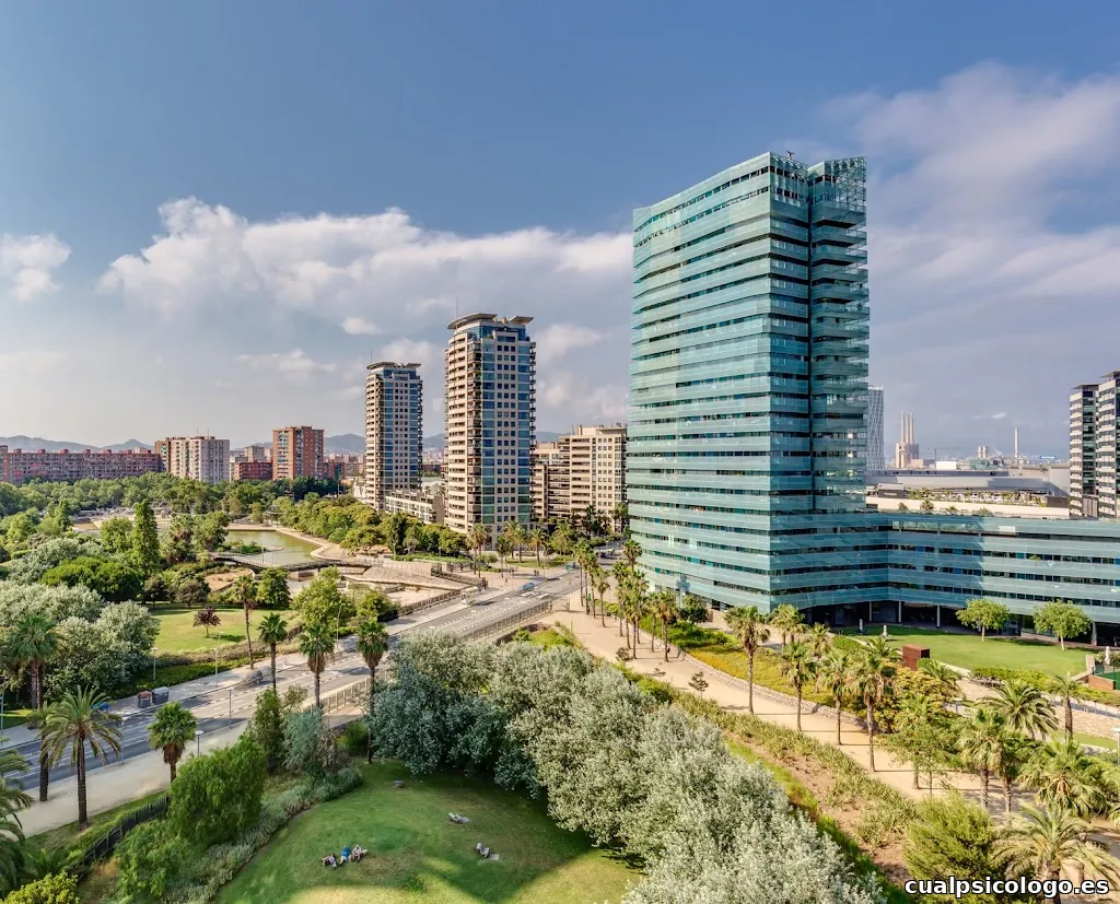 Fran Antón · Fotógrafo