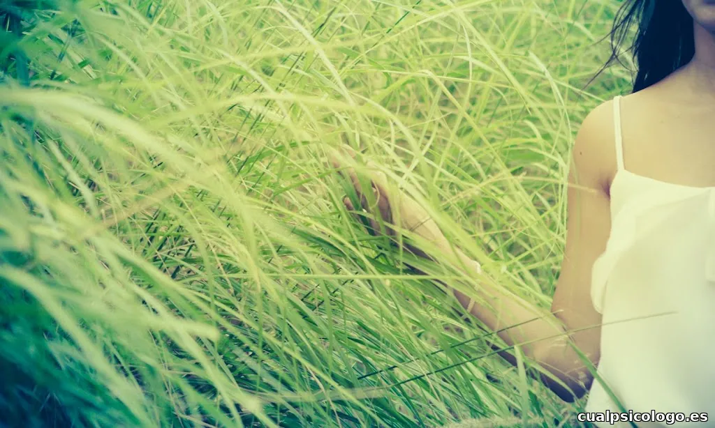 Lovely Wedding Films. Vídeo y fotografía de bodas