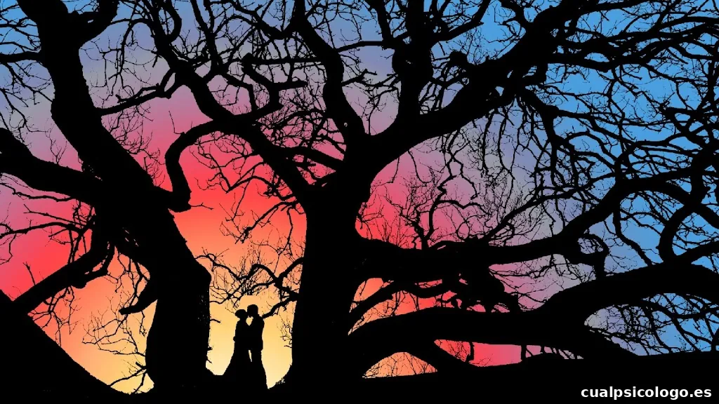 Fotógrafo internacional de bodas en Ponferrada,León Roberto Vega