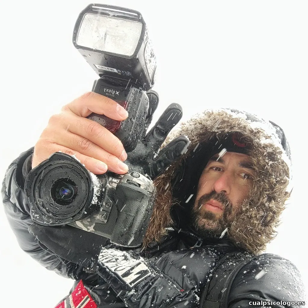 Miguel José Ávalos