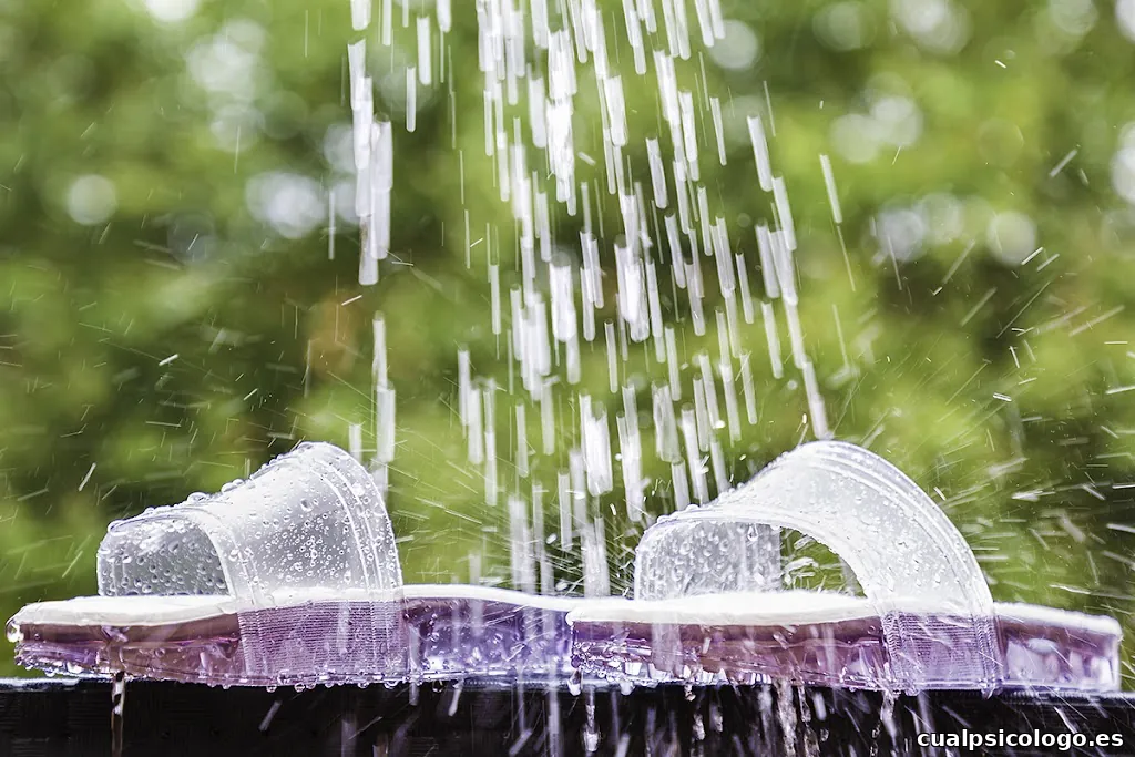 Silvia Oselka Fotografía Corporativa