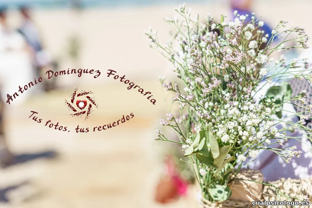 Antonio Domínguez Fotografía