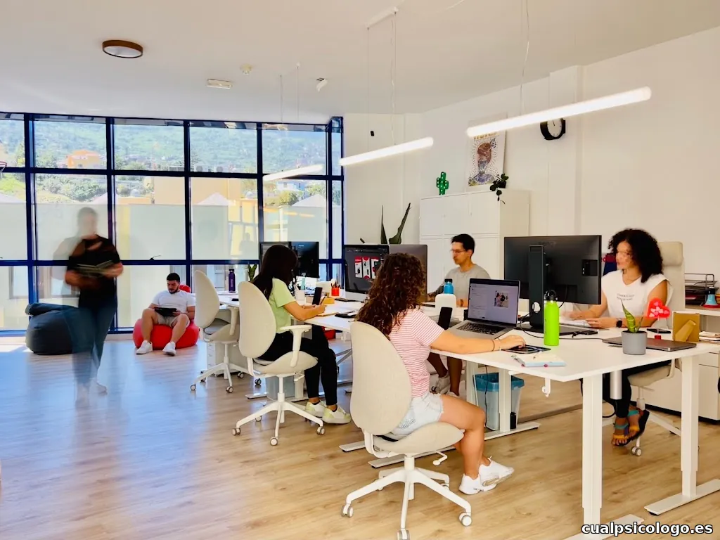 GUAY Agencia Creativa