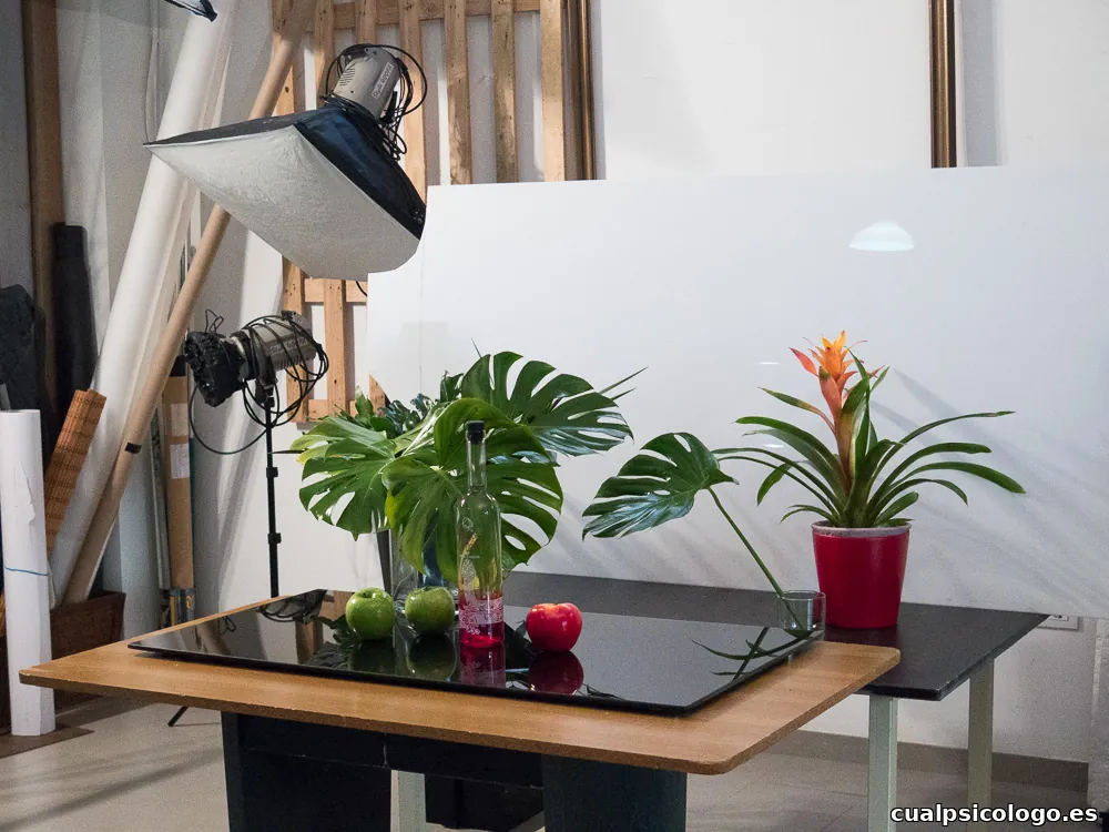 La Pinza Foto - Estudio de fotografía publicitaria, corporativa, patrimonial...