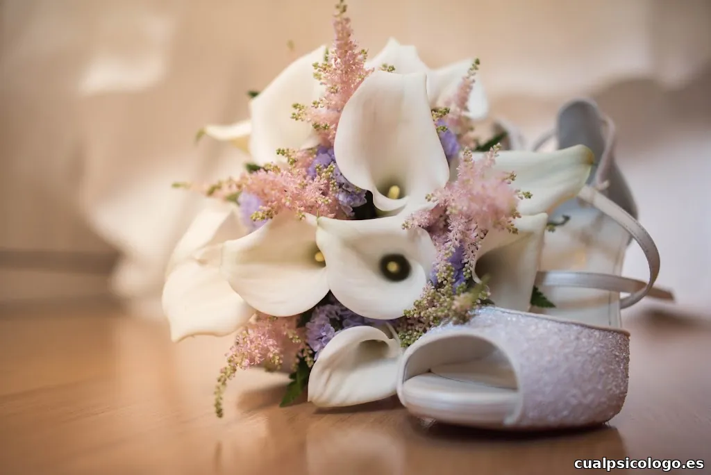 Alfonso y Mercedes Fotógrafos