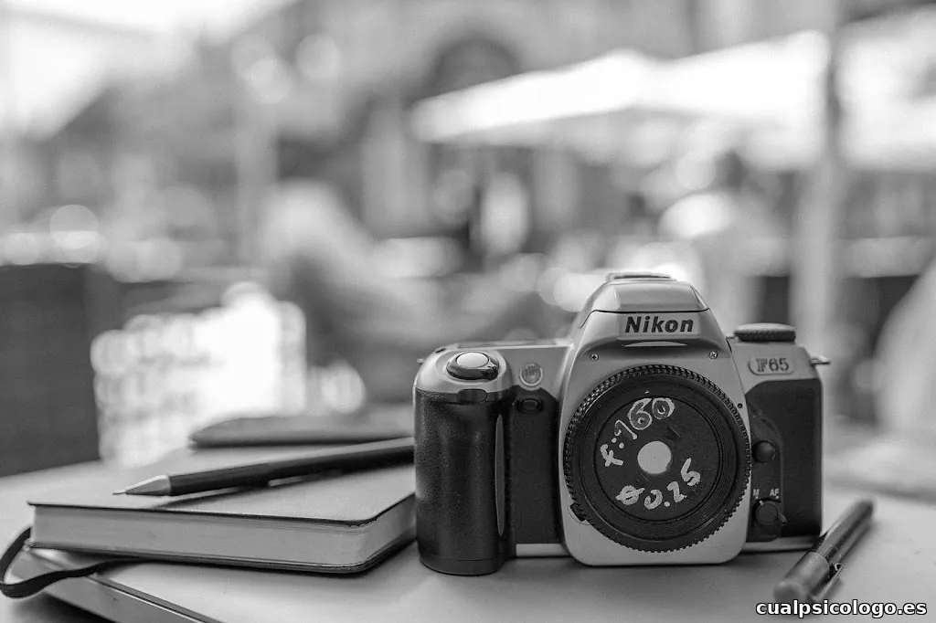 Espacio Creativo TRES PALMAS