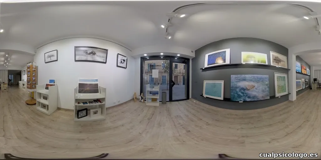 Jaume Cabrer fotògraf