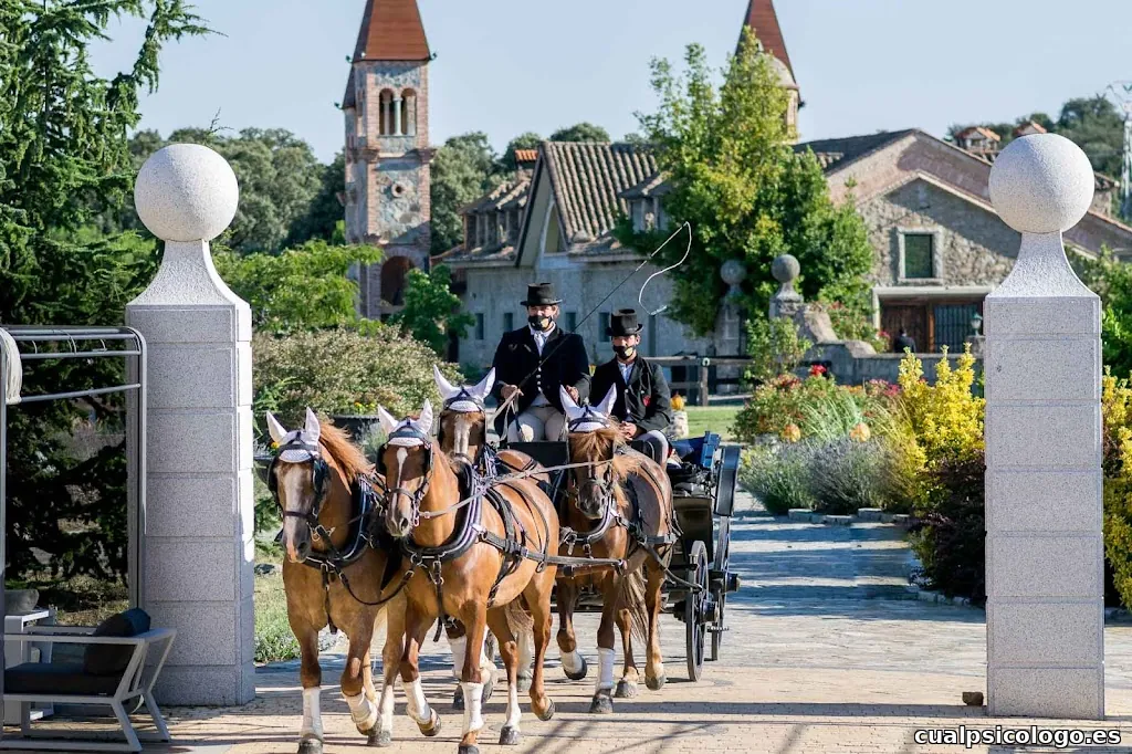 Vir Duma Fotografía