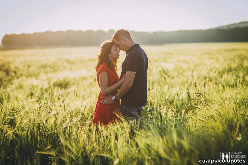 Estudio Sergio Sánchez Puerto