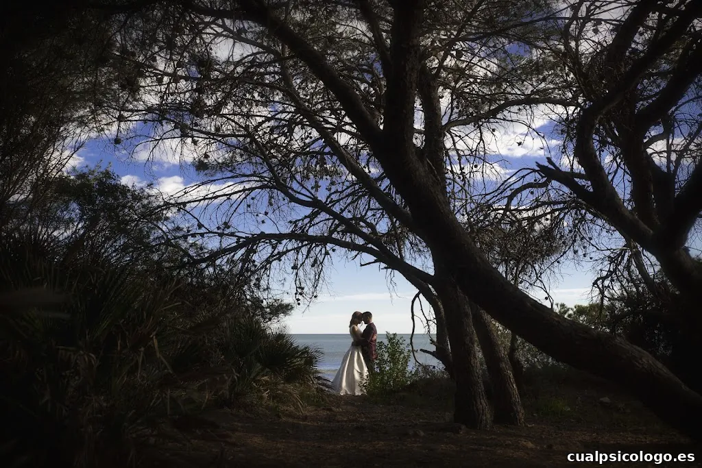 Obturart fotografía