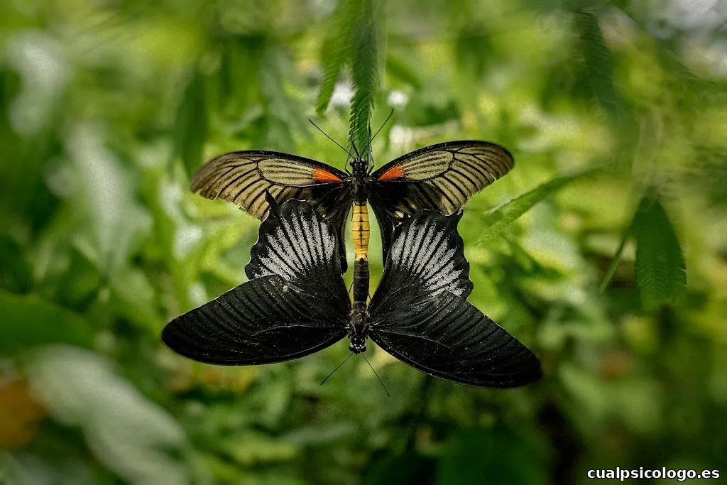 Ster Casillas Fotografía
