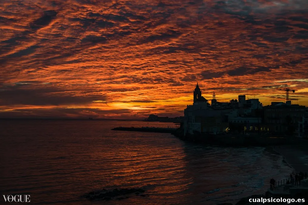 Olly Plu Photography