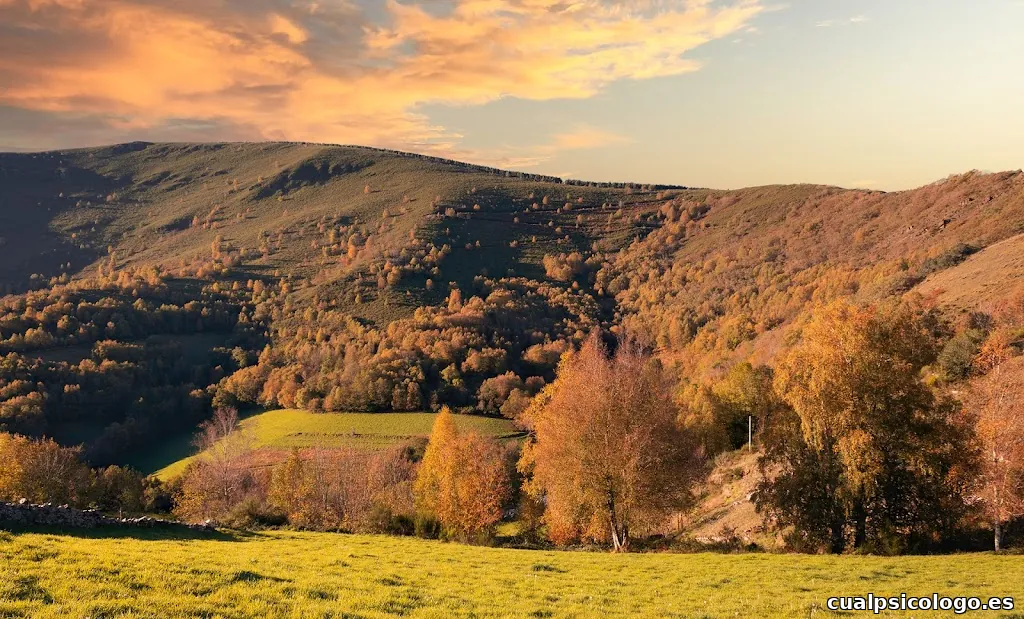 Armando Landscape Photographer