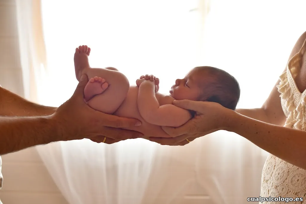 Alba Chesa Fotografía, Fotógrafo Vilanova i la Geltrú