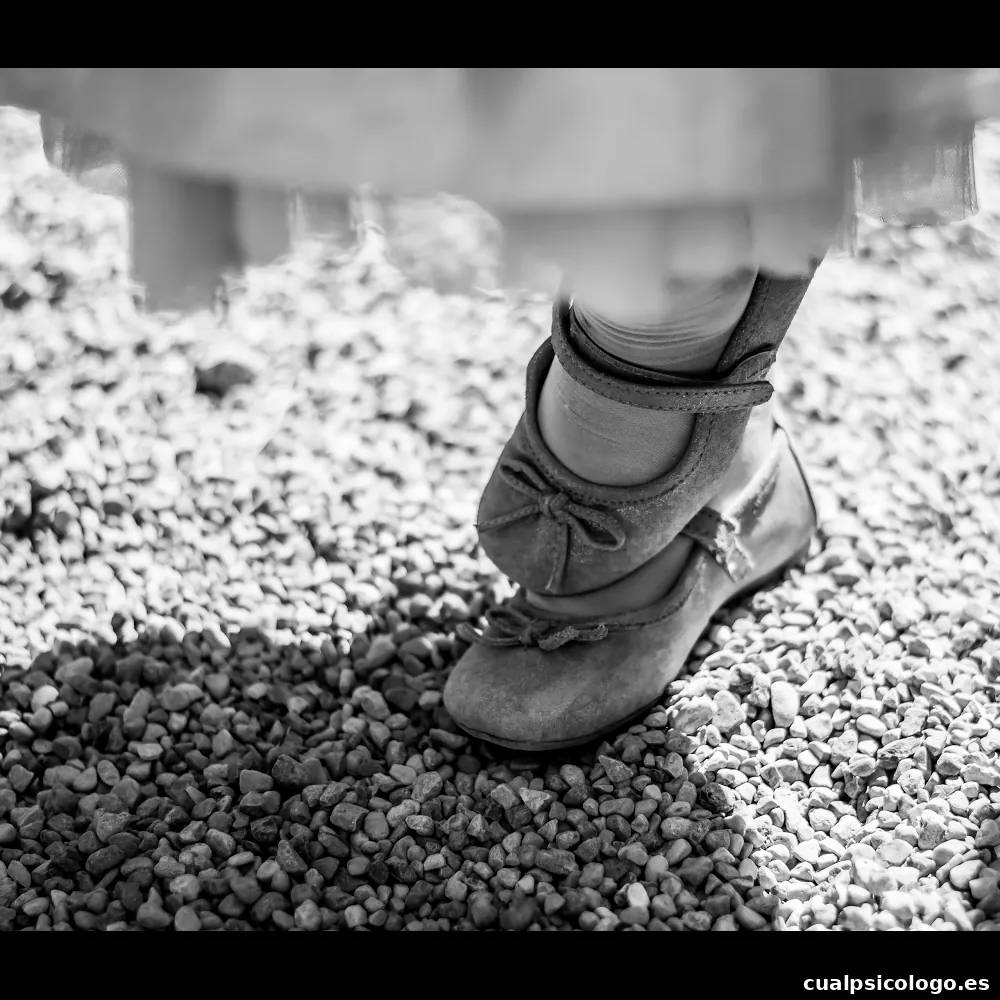 Despertando MIradas Fotografía