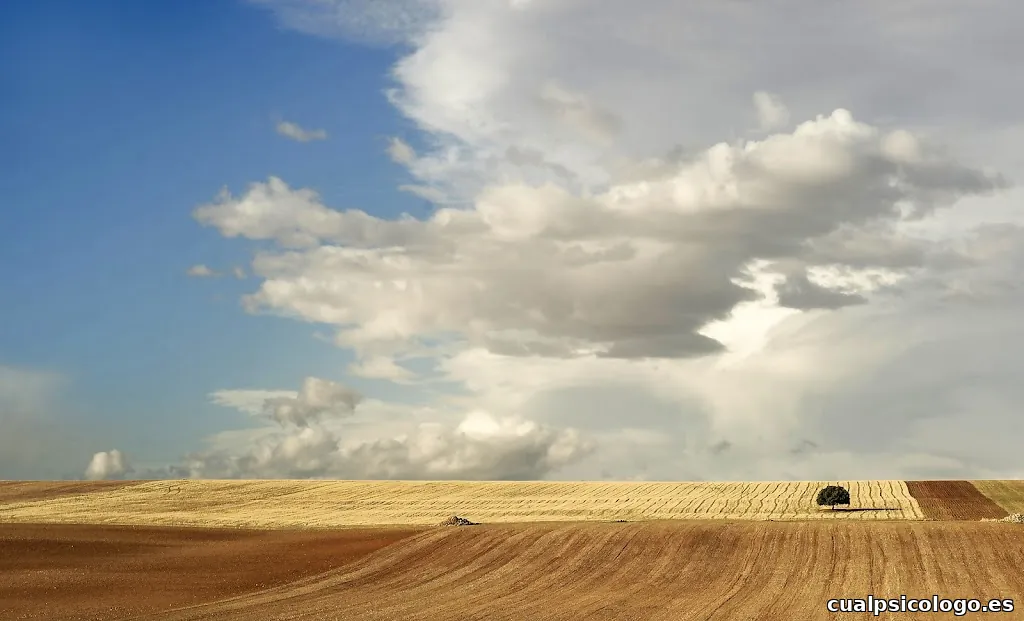 Joaquín Alarcón Fotografía