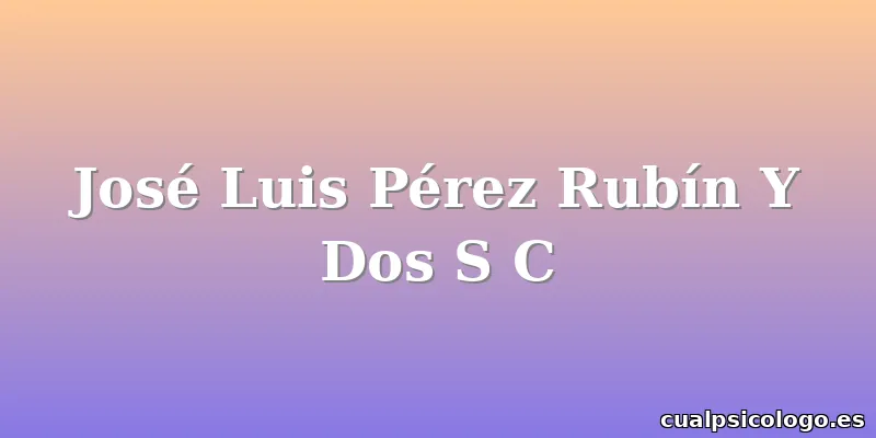 José Luis Pérez Rubín Y Dos S C