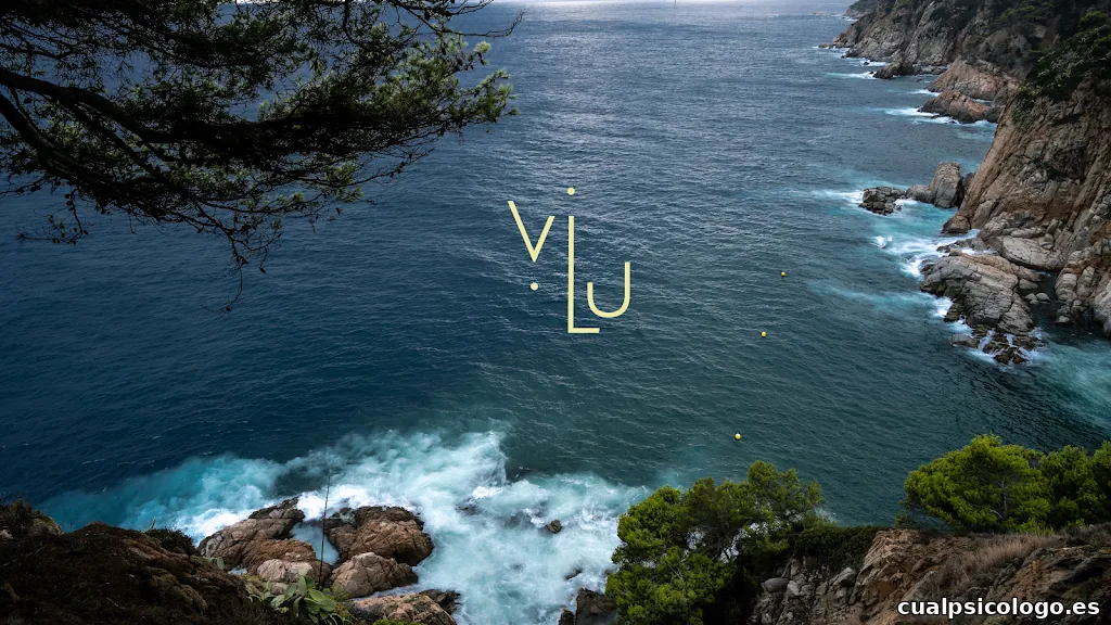 Tu Estudio Creativo by VL