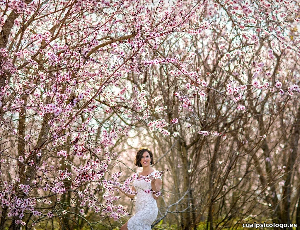 JORDI CARRILLO ESTUDI FOTOGRAFIC