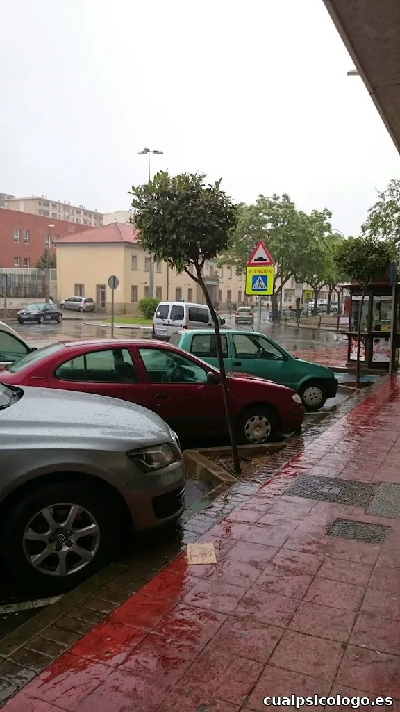 Yolanda Vallejo Fotografía