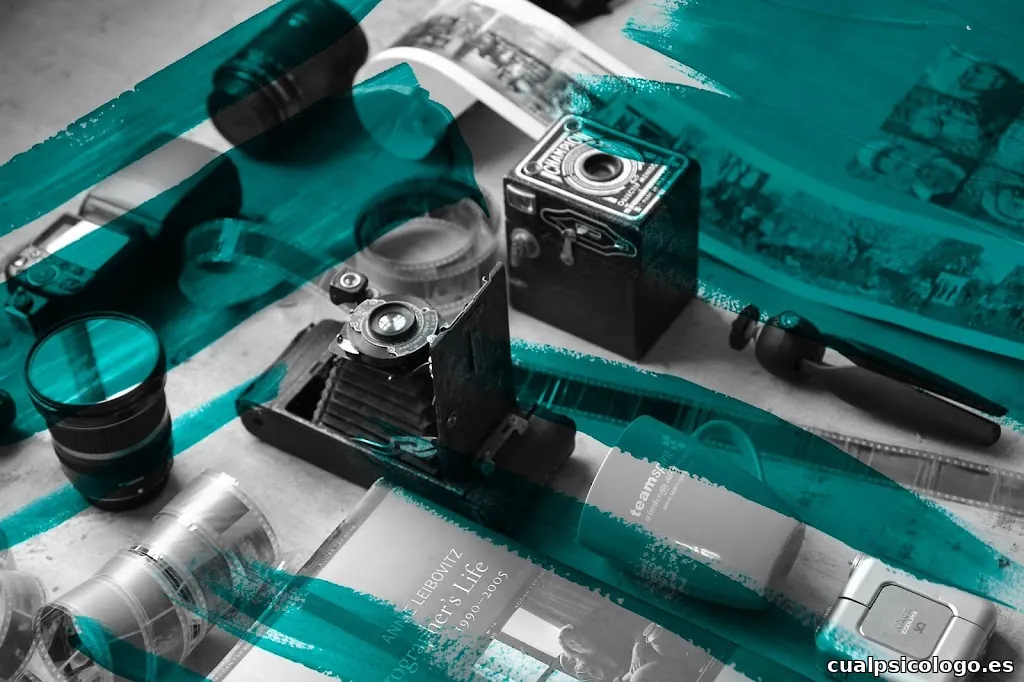 Lluvia Estudio Creativo