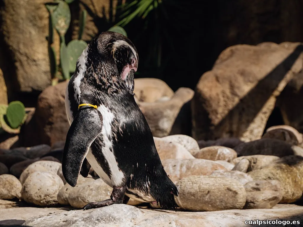 Sergio Castillejo - Fotografía