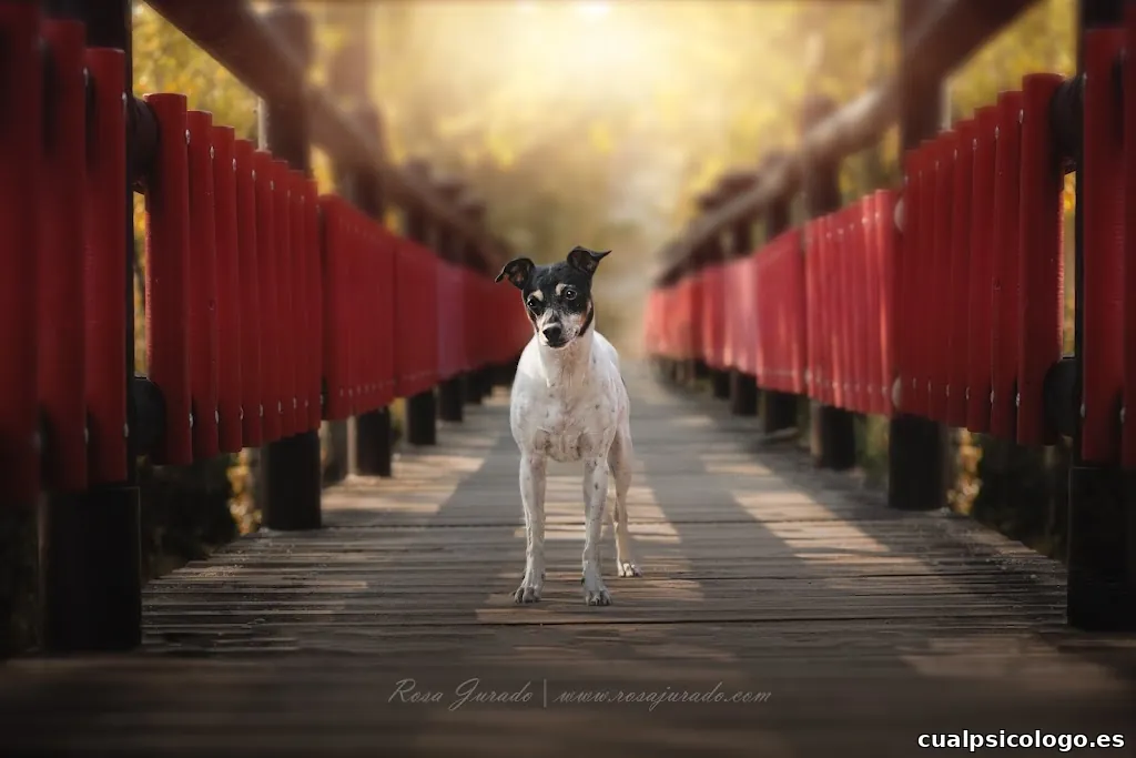 Rosa Jurado Fotógrafa