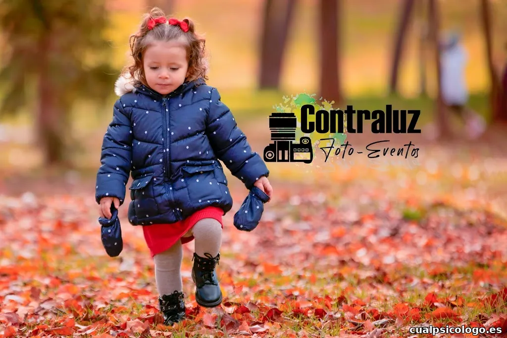 Contraluz Photo / GrupoZoom25 S.L