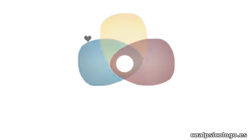 Alejandra Silva - Flash Studio