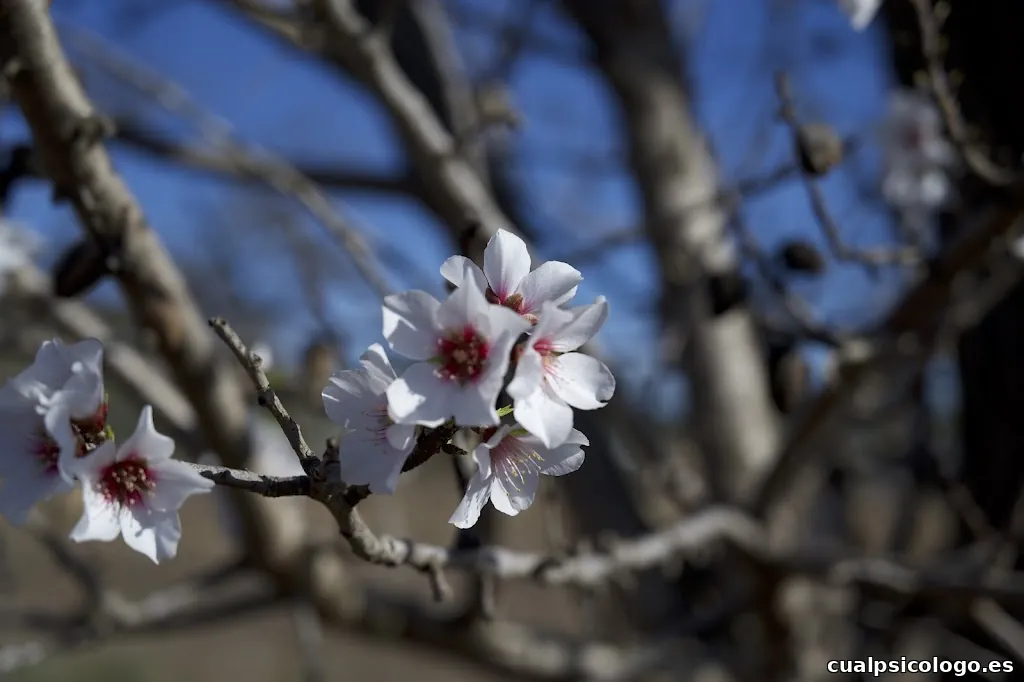 Carolina Fotografía