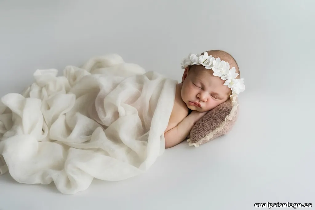 EVA ZAMORA fotografía