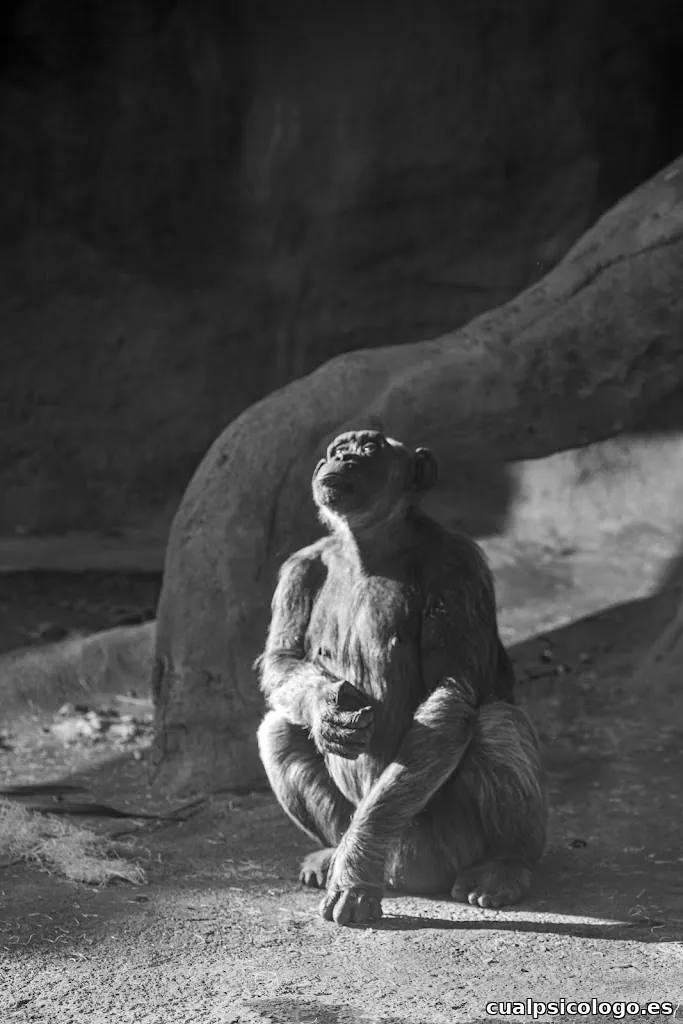 Montse Puig Fotografía