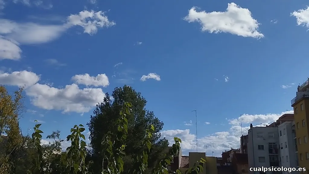 Deborah Serrano Fotografia