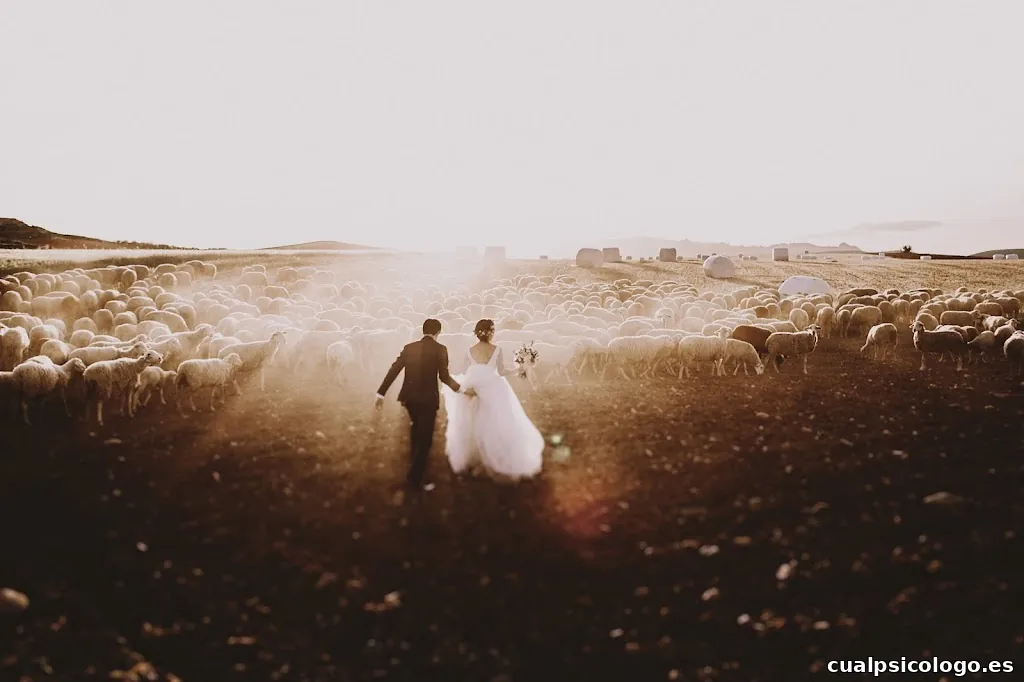 People Truelove Tellers - Fotógrafos de boda