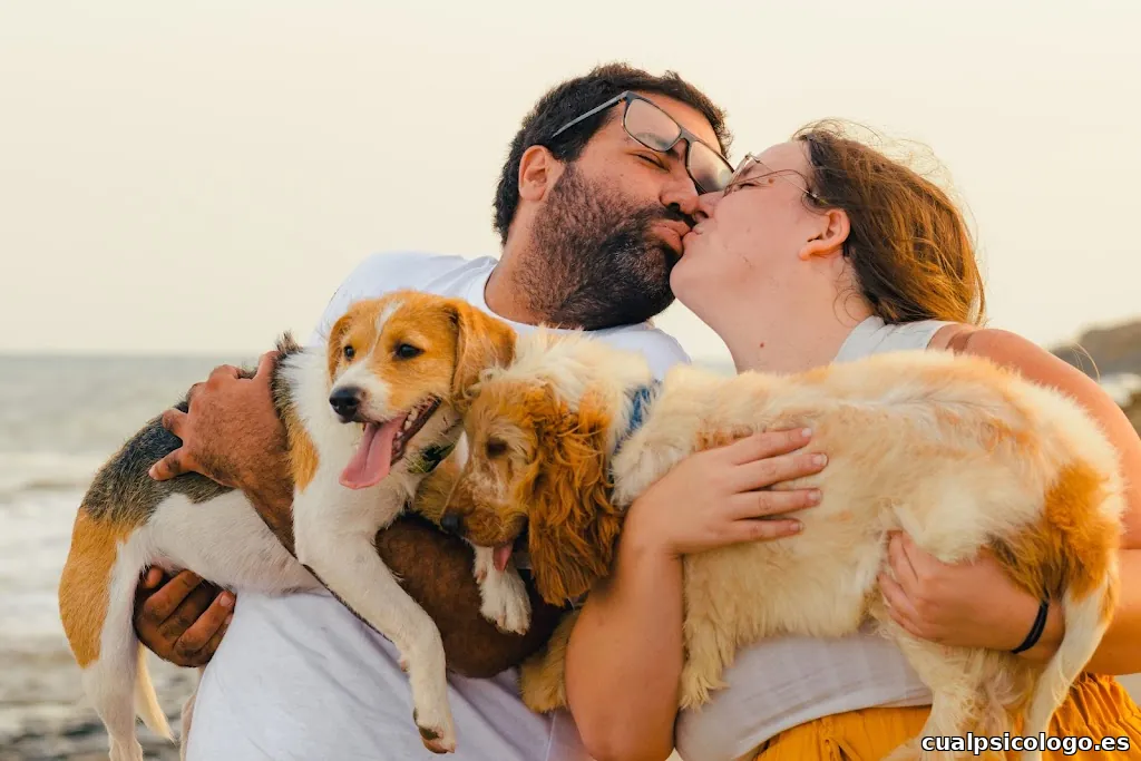 Luarna Studio - Fotografía de perros en exteriores