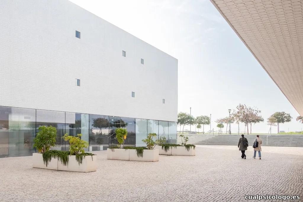 Adrián Rubín de Celis