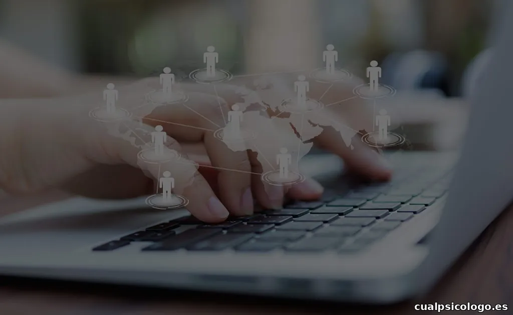 Diseño Gráfico y Web - Chavalin