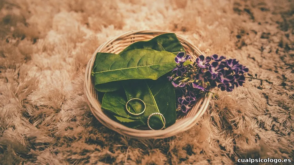 Alejandro Acuña Fotógrafo