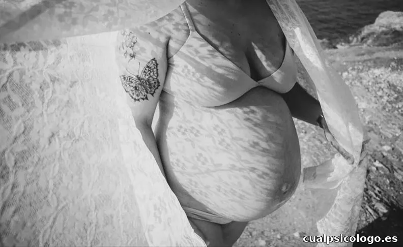 Arteceibe Fotografía