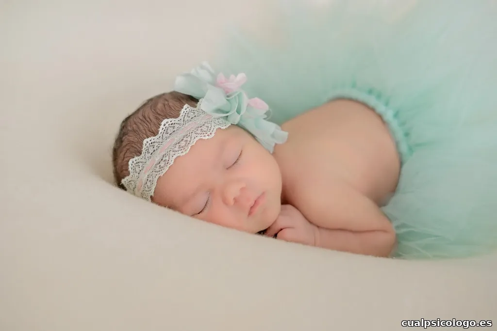 Gisela Viladrich Fotografia