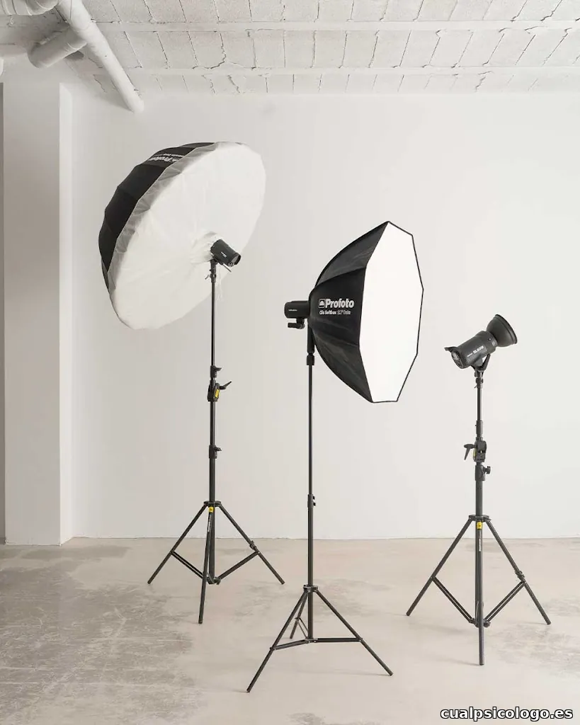 MORNING ESTUDIO CREATIVO