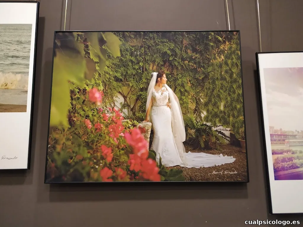 MANUEL FERNANDO FOTÓGRAFOS