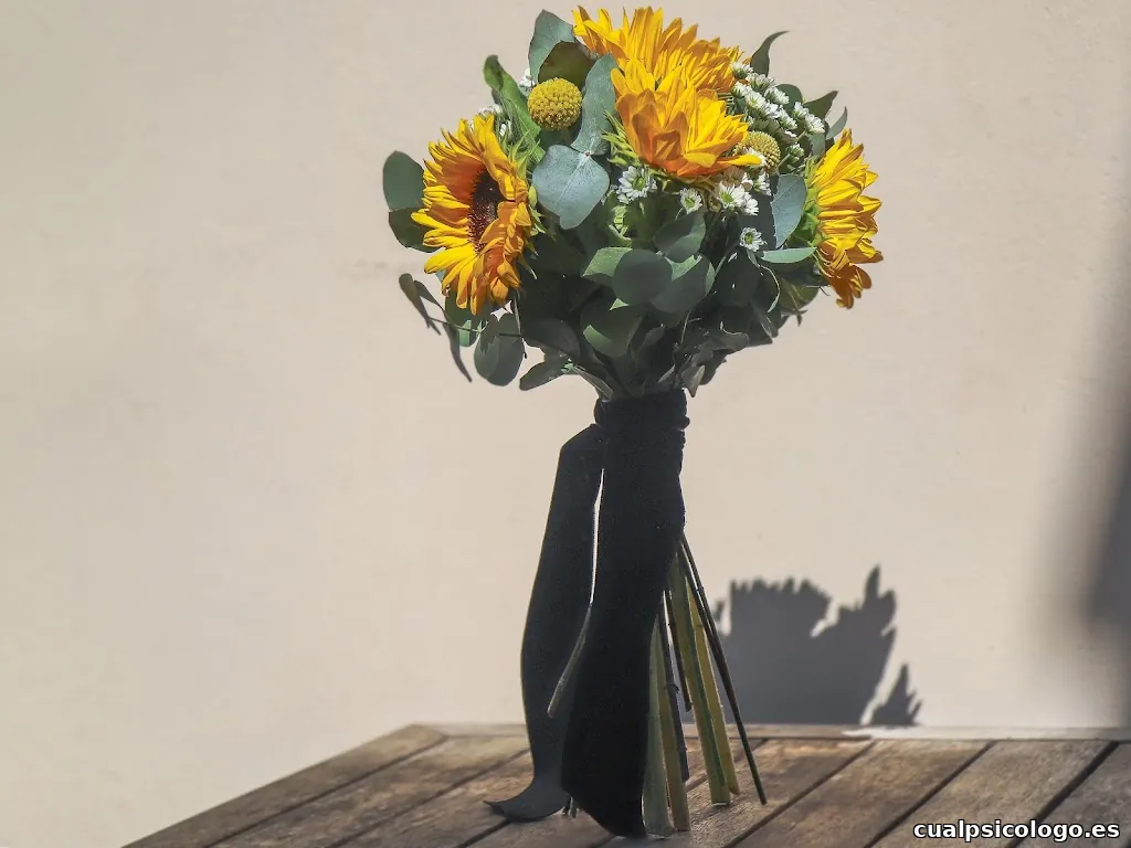 Unoiimedia fotografía y video