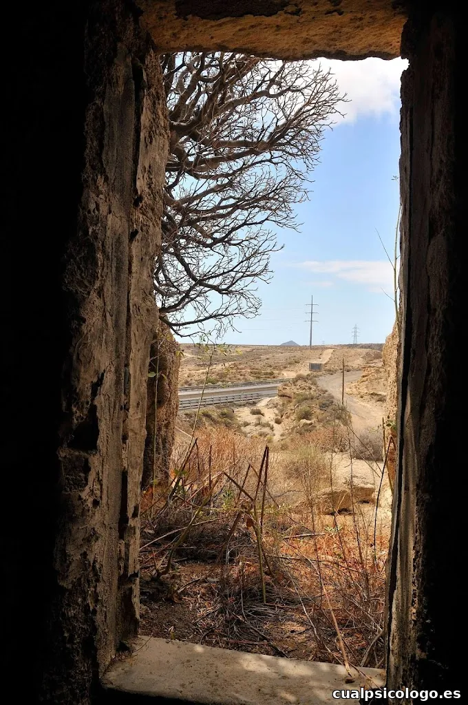 Foto Aldomán Fotografía Social, Estudio e Industrial