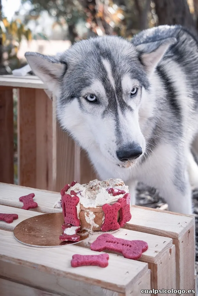 Sara Amorós FOTOGRAFÍA