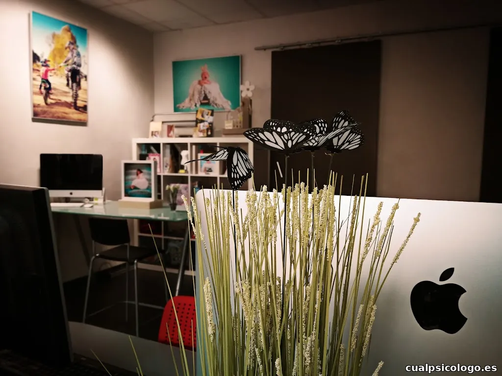 ROMAN ESTUDIO FOTOGRAFICO