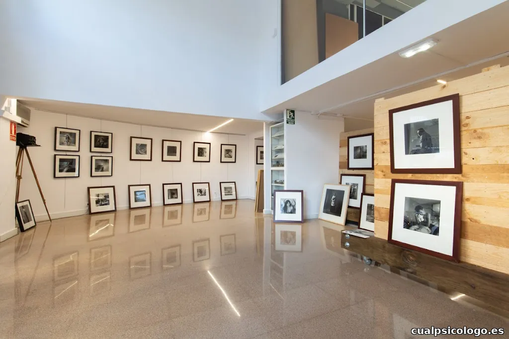 La Puerta Verde - Fotografía